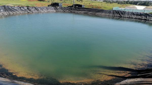 وفاة أب وطفليه غرقا داخل بركة زراعية في الجيزة