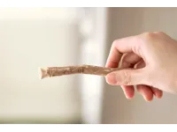 دائرة الافتاء العام توضح الضوابط الشرعية لاستعمال السواك للصائم