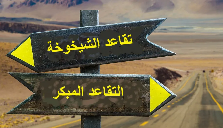 بين 63 و53 عاما.. توصيات جوهرية لتعديل سن التقاعد